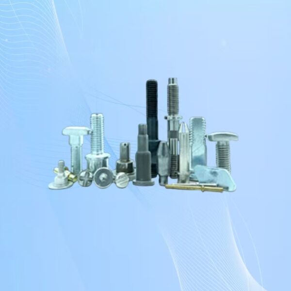 Non-standard Custom Made Cold Forming Fastener