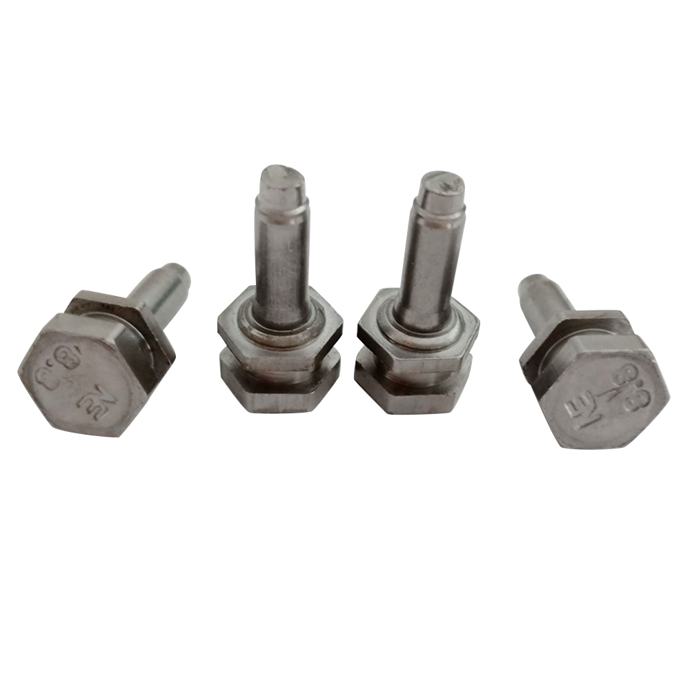 Customized Double Hex Head Stepped Bolt